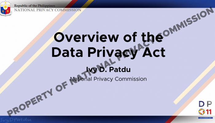 Overview of DPA